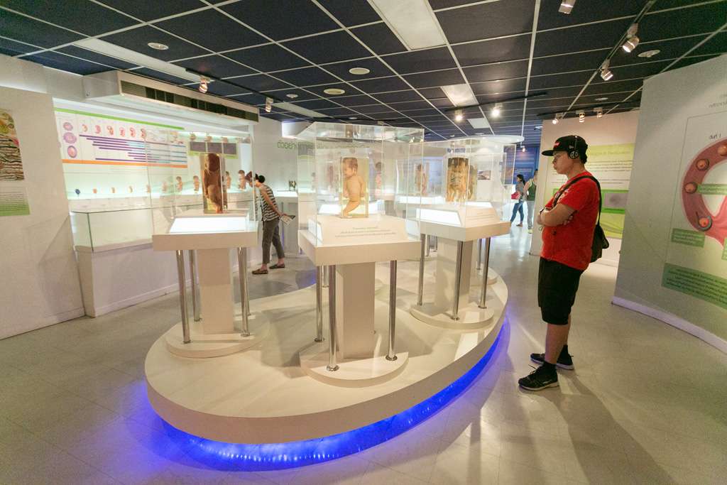 Siriraj Medical Museum