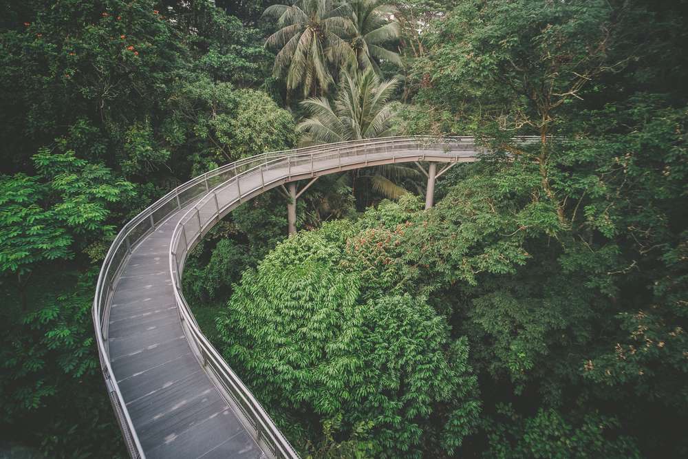 Walk the Southern Ridges