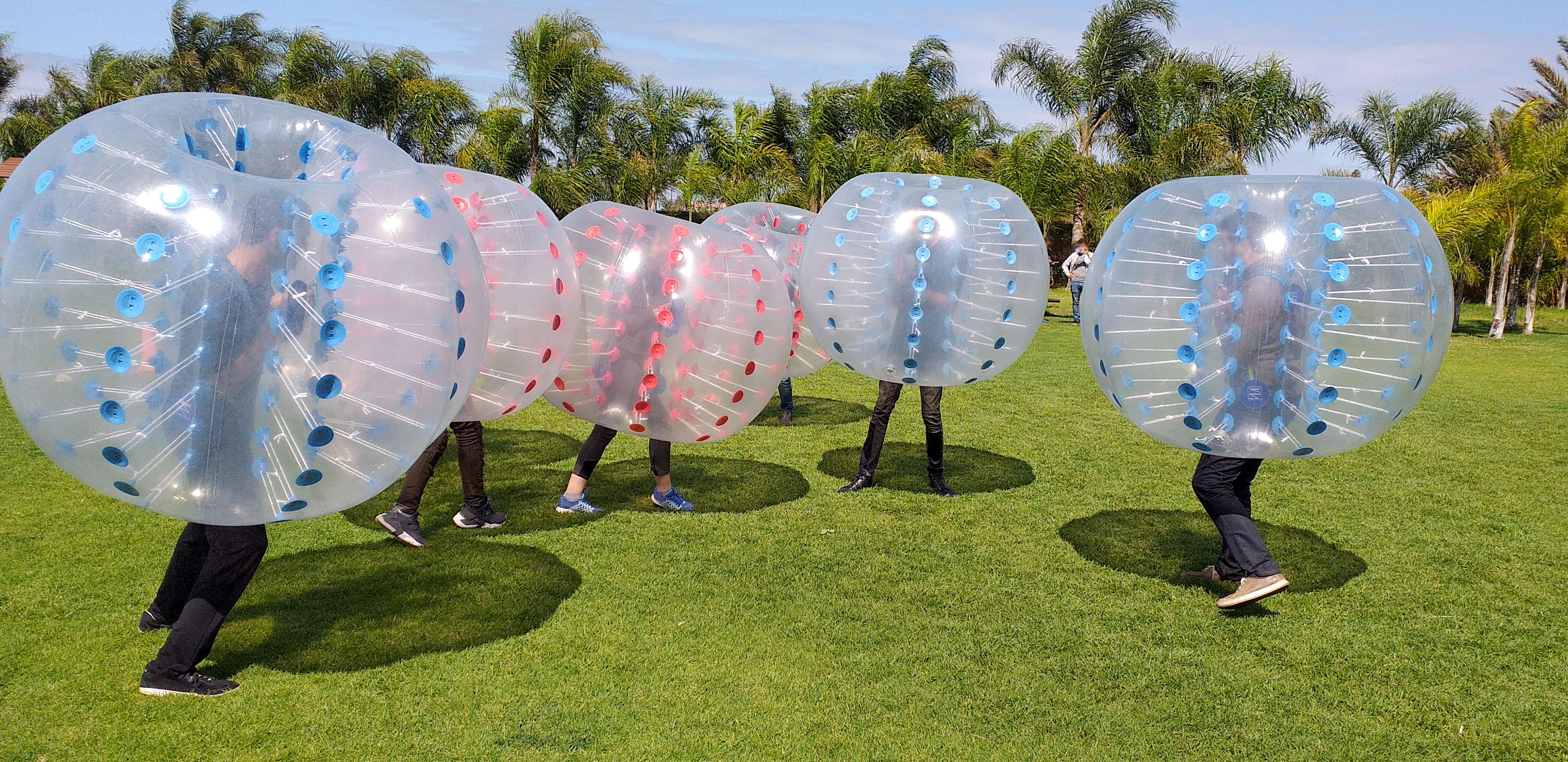Be a Human Hamster Ball- ZOVB