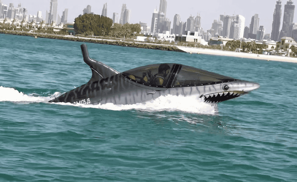  Experience Sea Breacher Ride