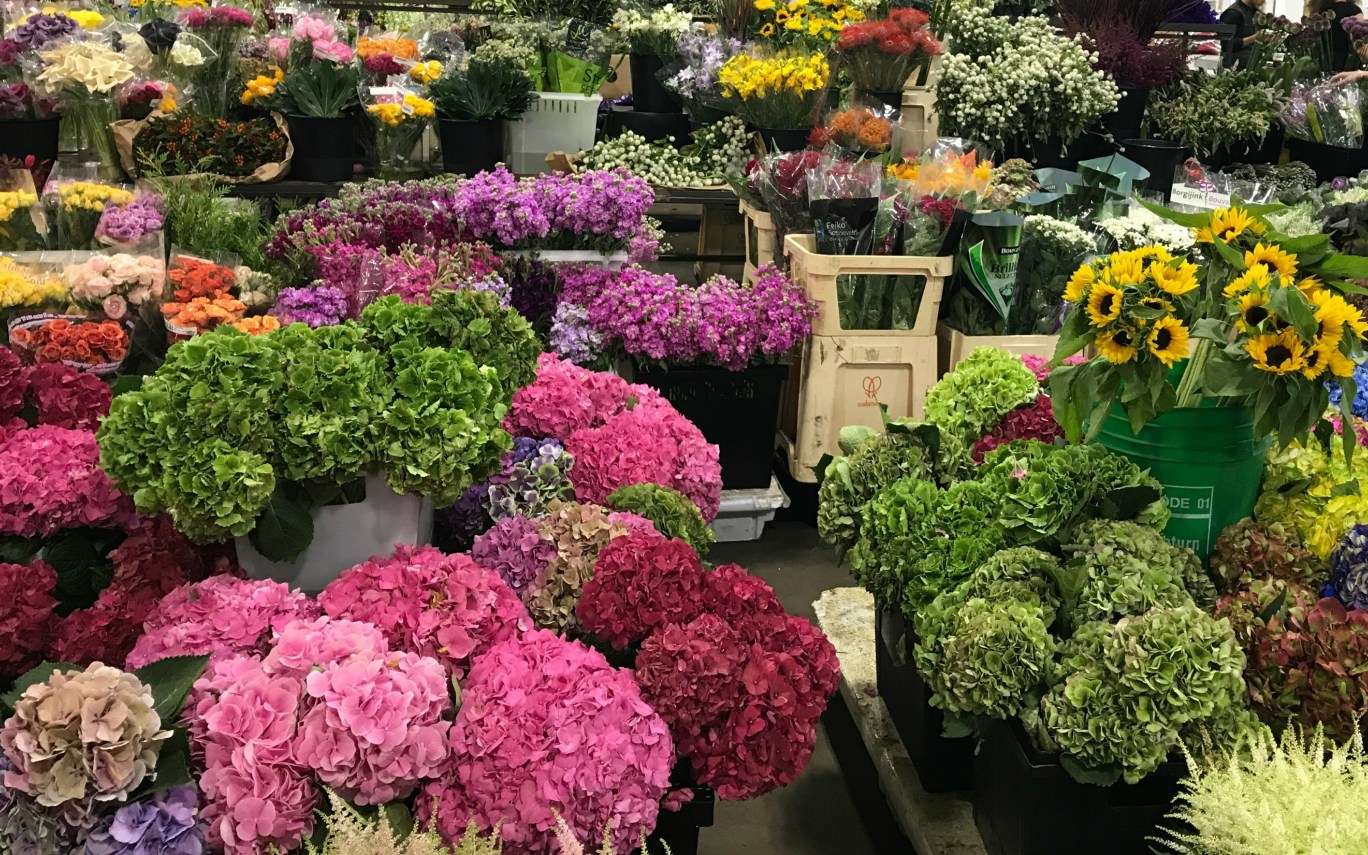 Fresh Flower Market
