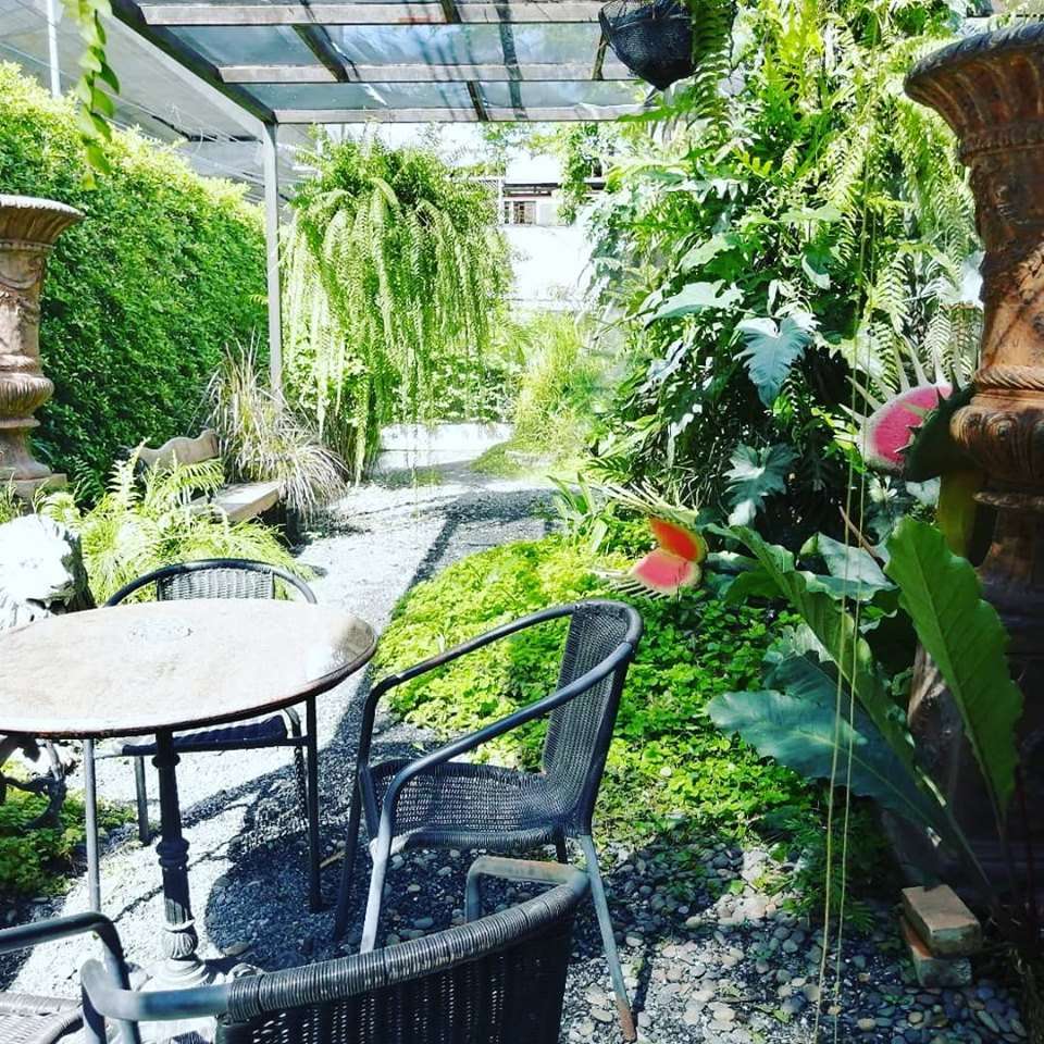 Insects in the Backyard