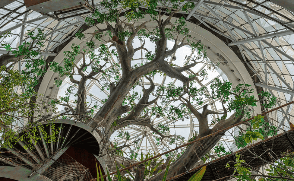 The Green Planet by Meraas