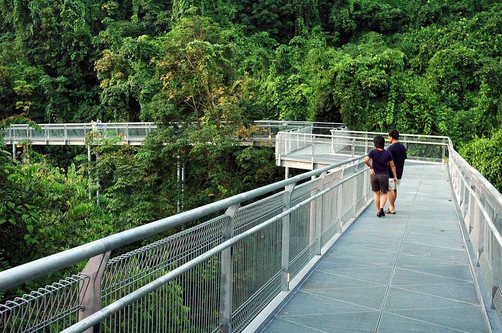 Walk the Southern Ridges