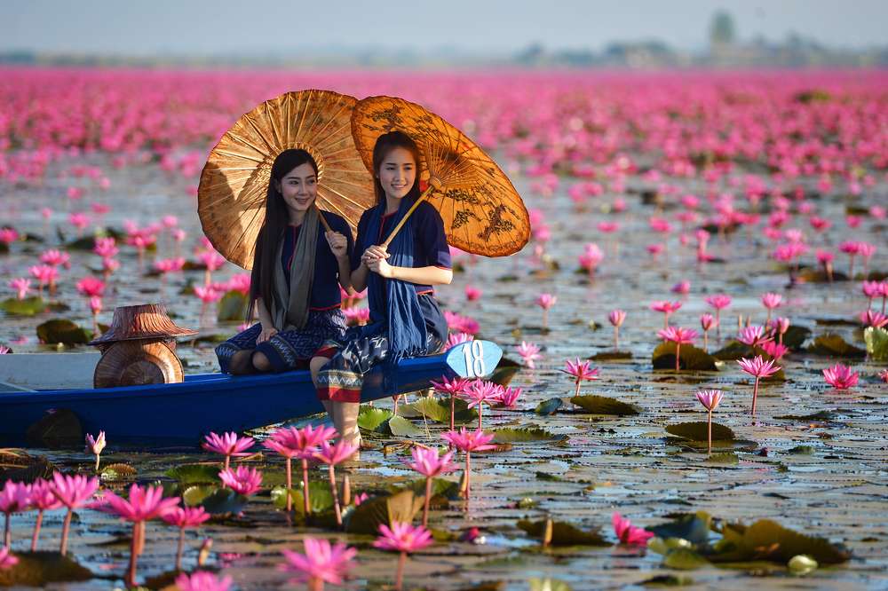 Red Lotus Sea