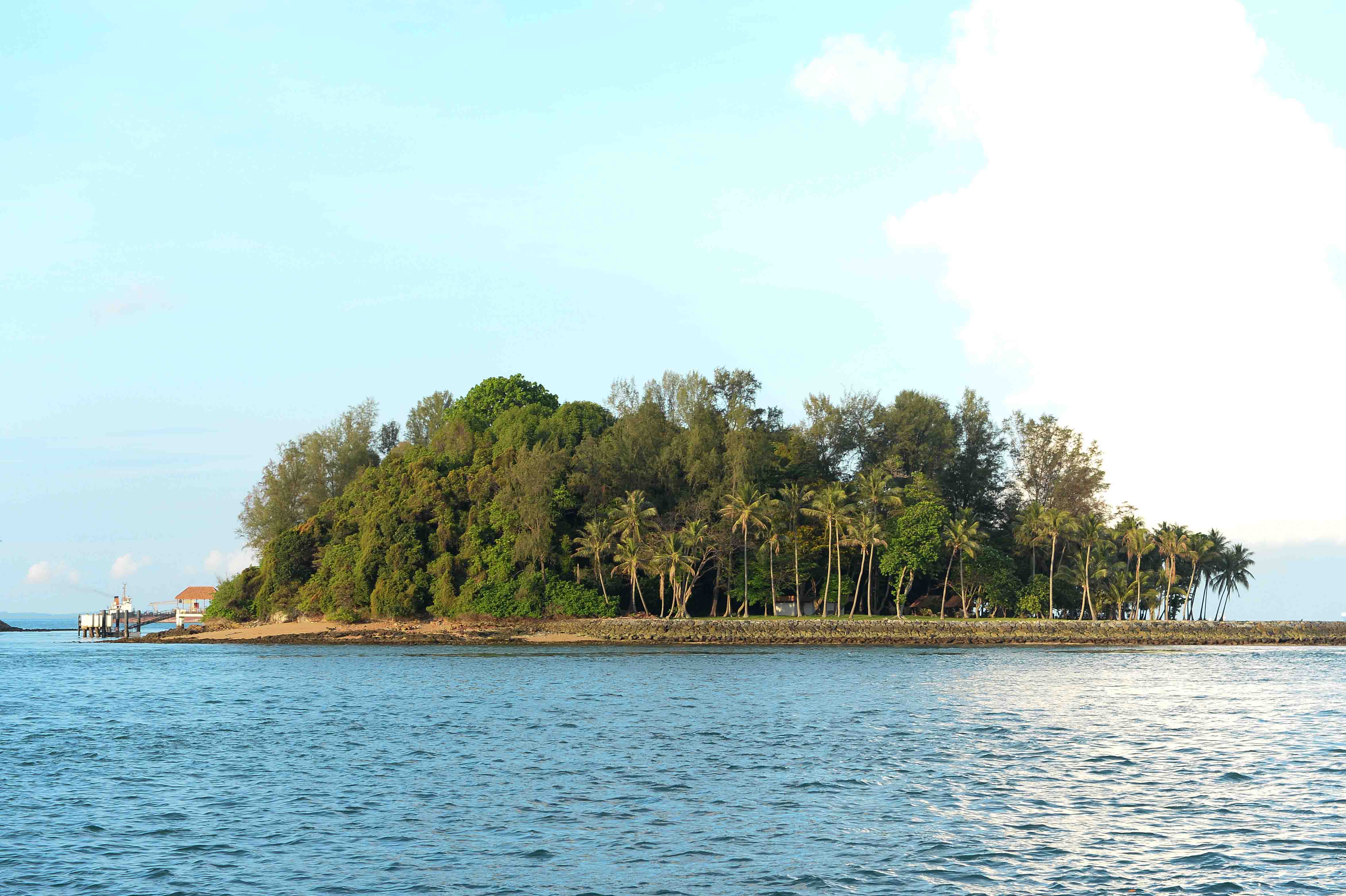 Watch the dolphins at the Sisters Islands 