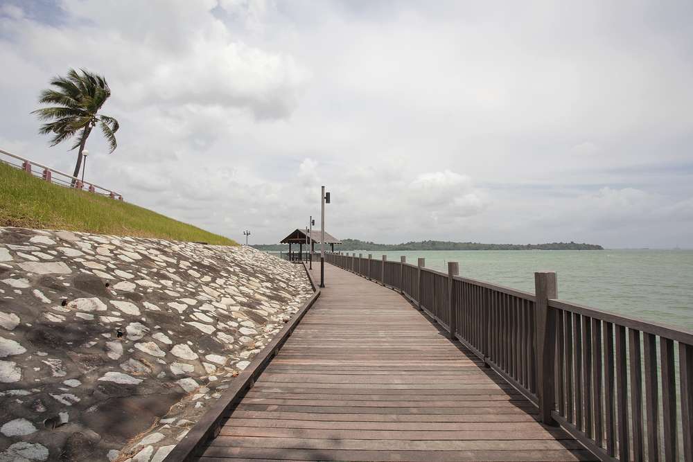 Stroll Through Changi Point Boardwalk