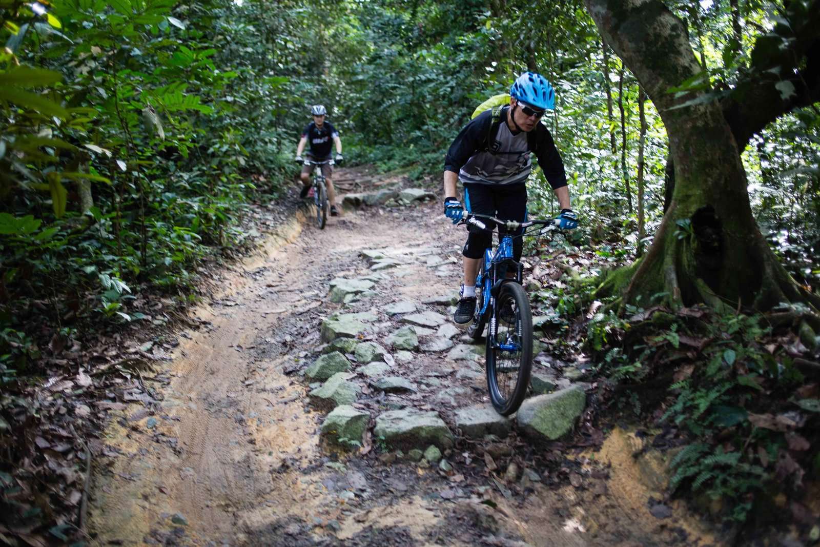 Bukit Timah Mountain Bike Trail