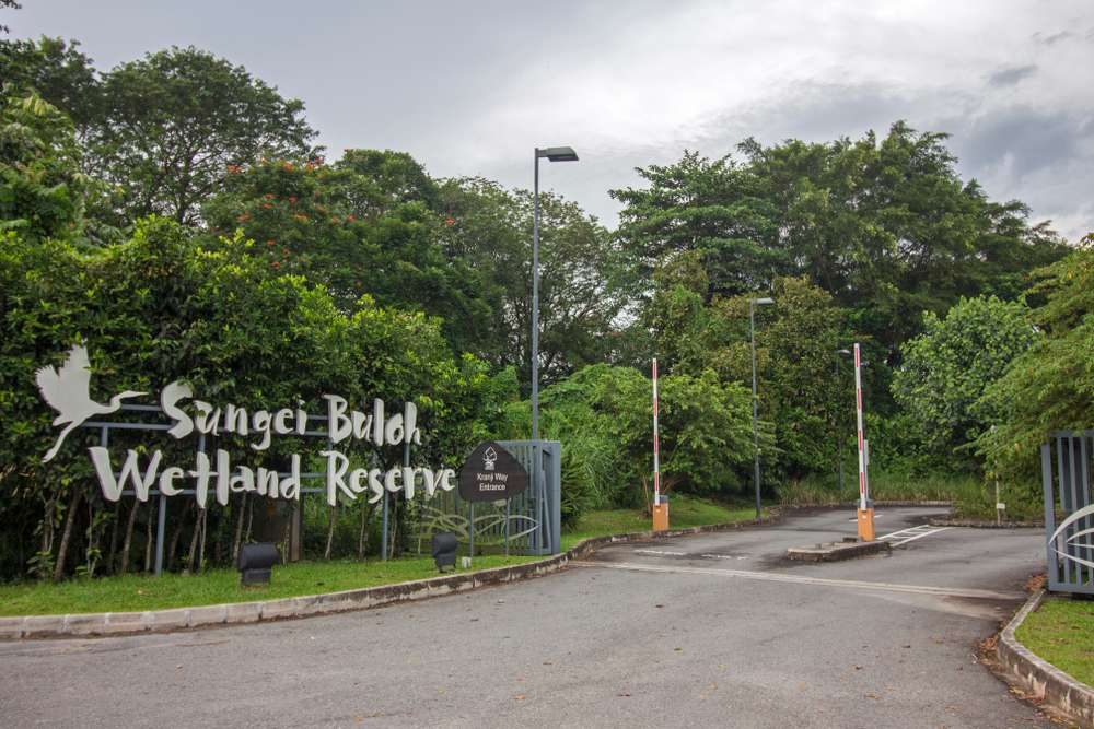 Discover Nature at Sungei Buloh Wetland Reserve