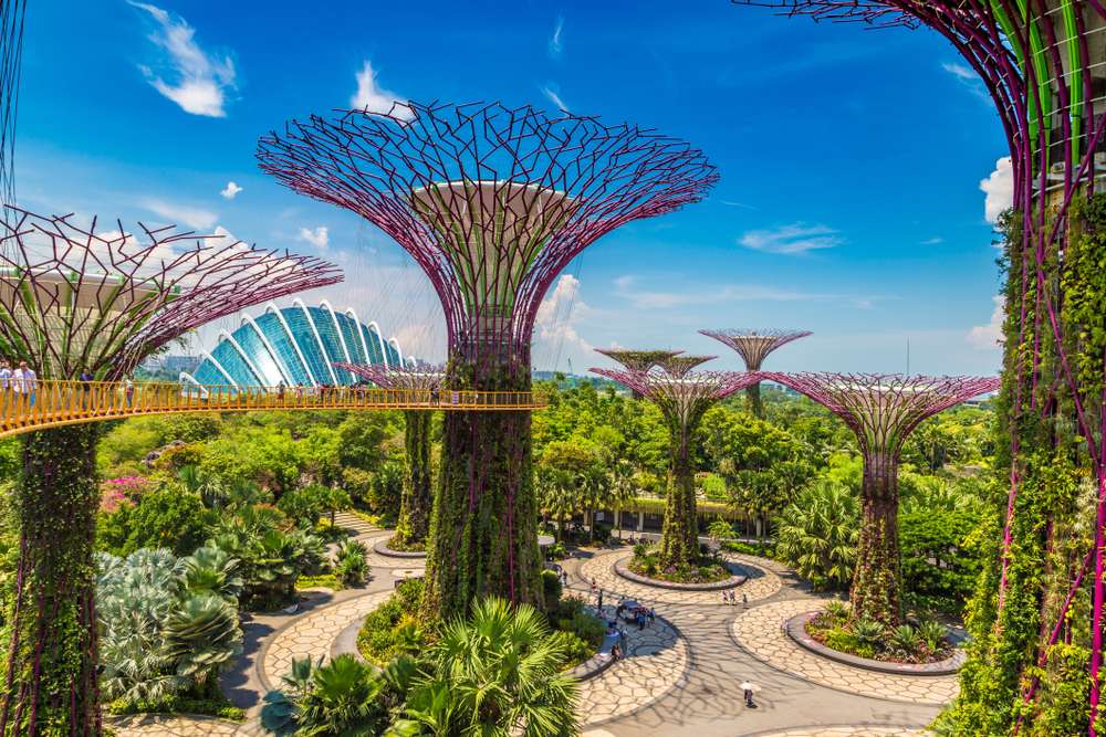 Wander through Gardens by the Bay