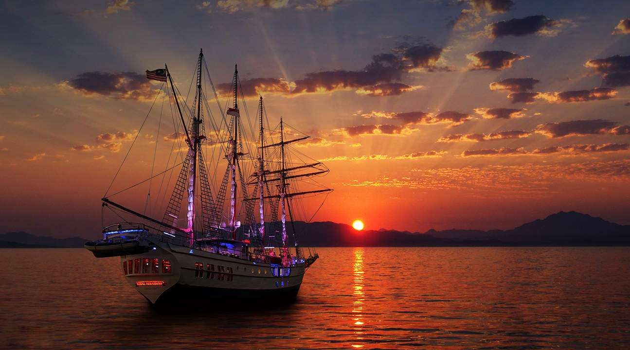 Royal Albatross Sunset Sail   