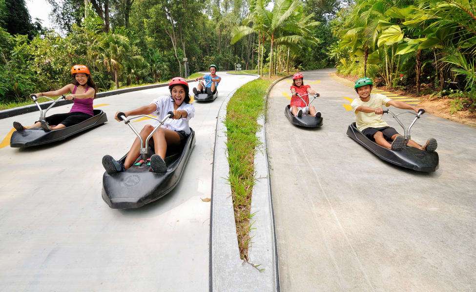 Discover Skyline Luge Sentosa