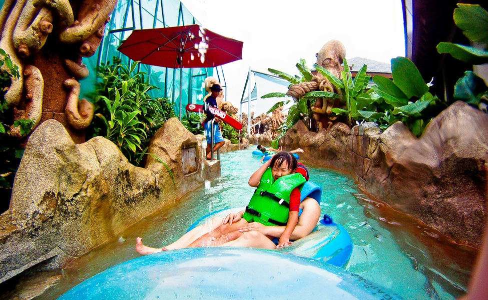 Enjoy Adventure Cove Waterpark