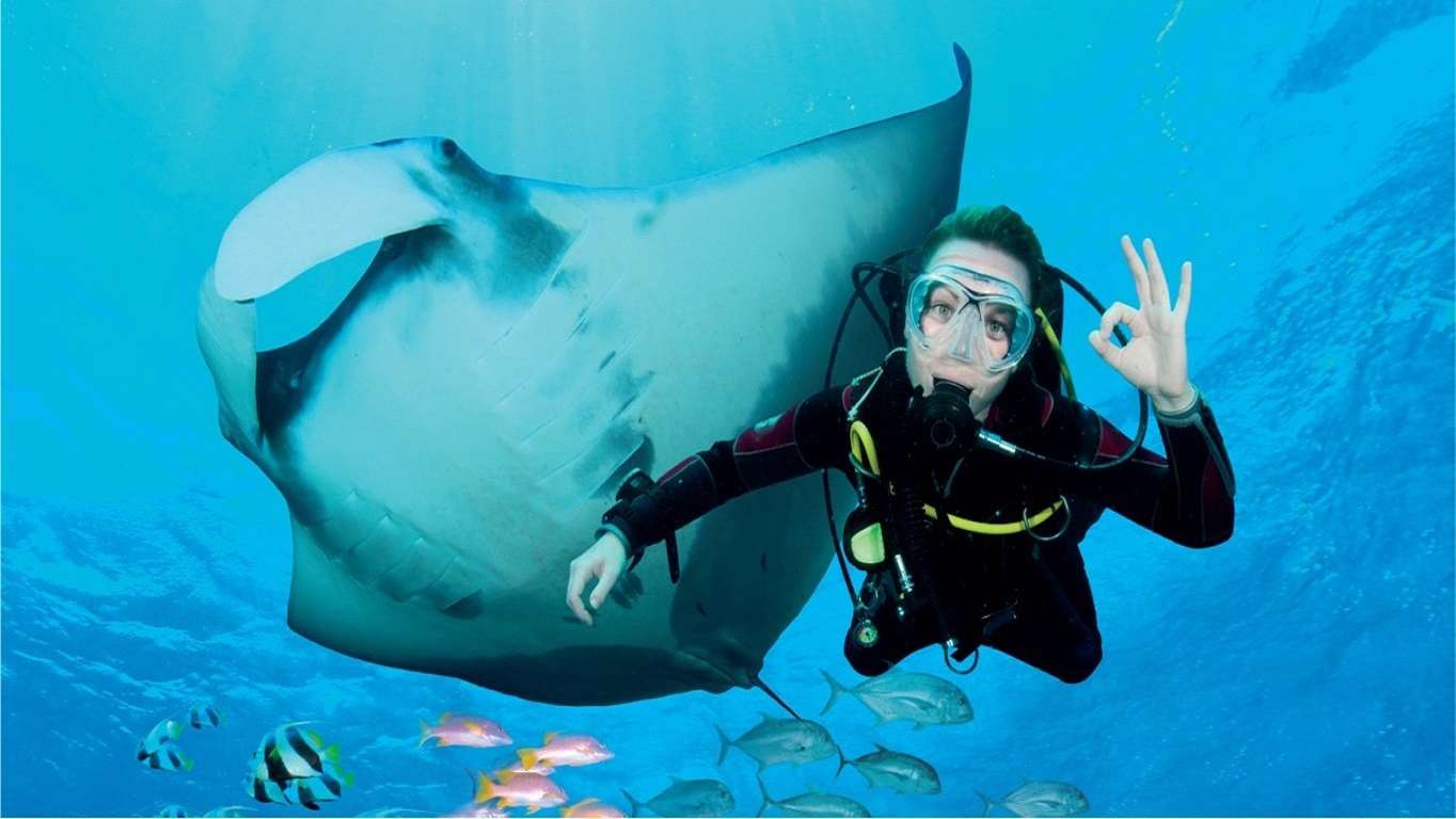 Explore Scuba Diving