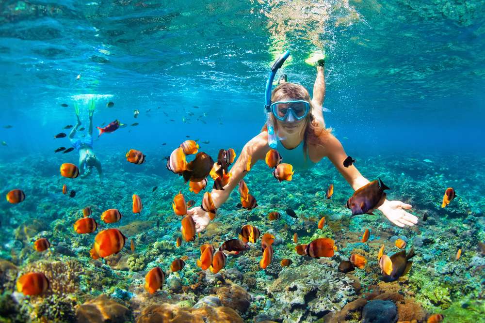 Snorkelling at the Sister Island