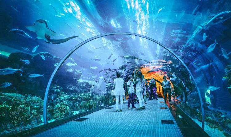 Visit Dubai Aquarium & Underwater Zoo