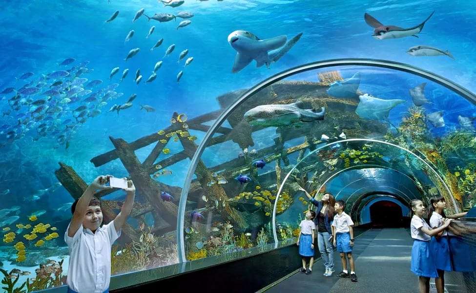Combo: Singapore Zoo with S.e.a. Aquarium Flat 10% off