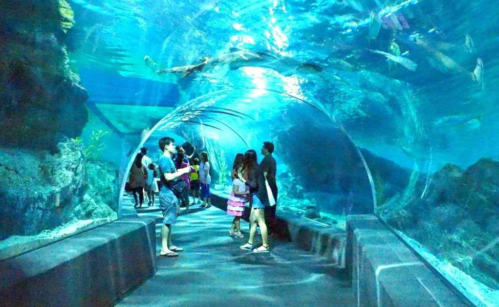 Sea Life Bangkok Ocean World