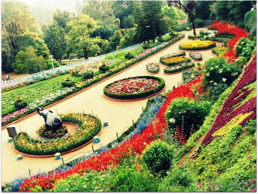 Rose Garden