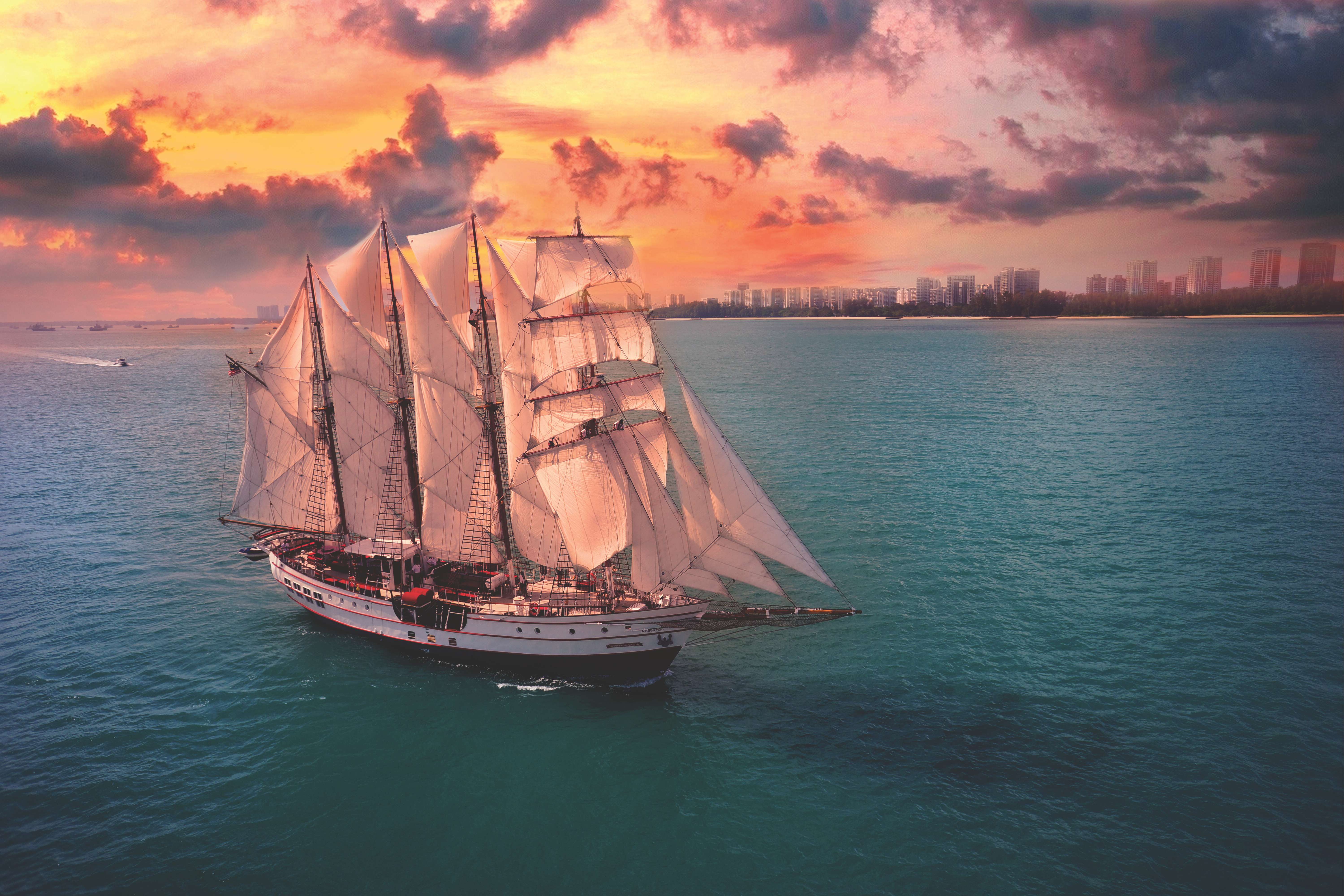 Royal Albatross Sunset Sail