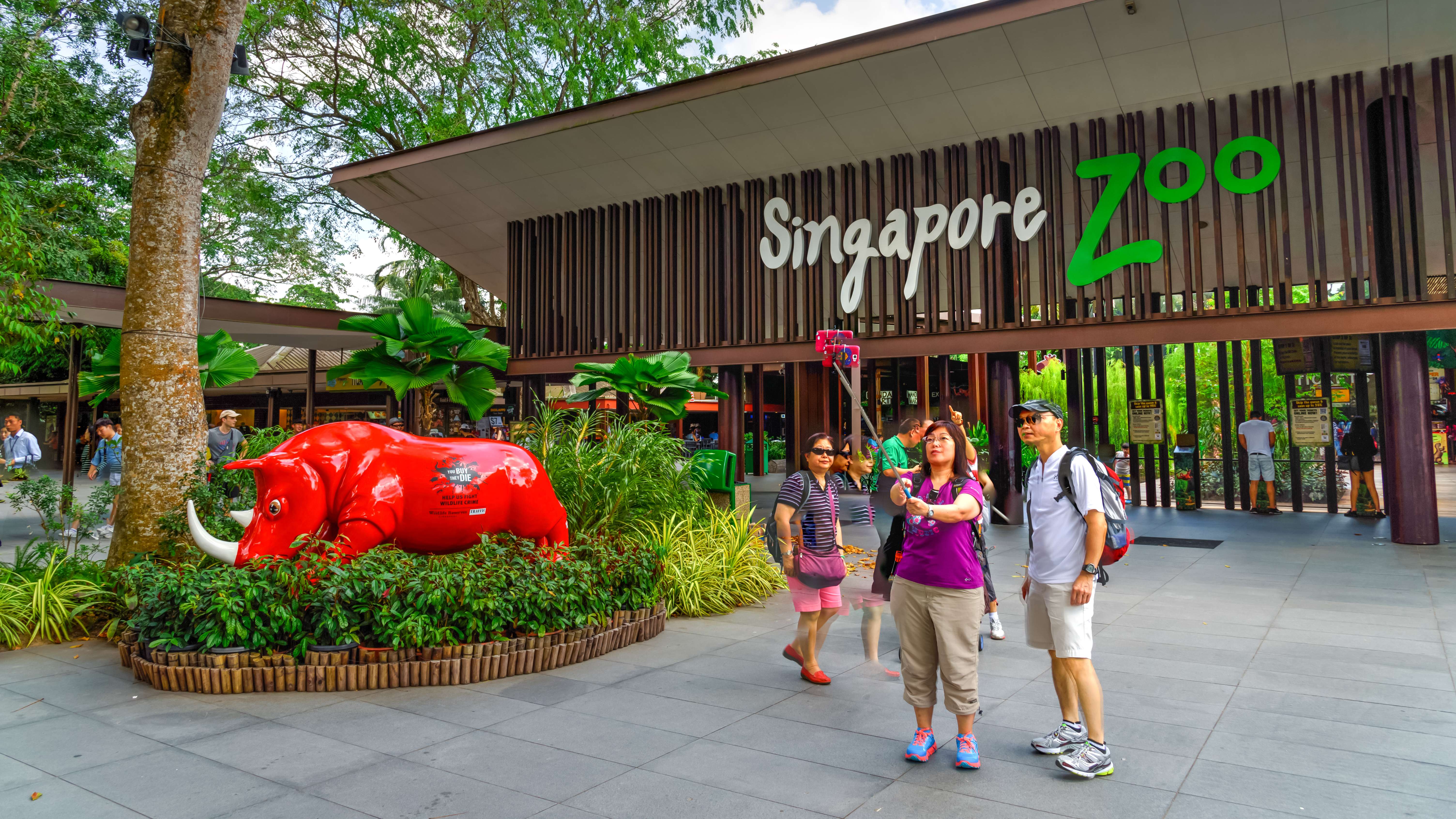 Jurong Bird Park & Singapore Night Safari Combo, Get 30% off