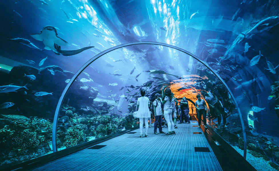 Dubai Aquarium & Underwater Zoo