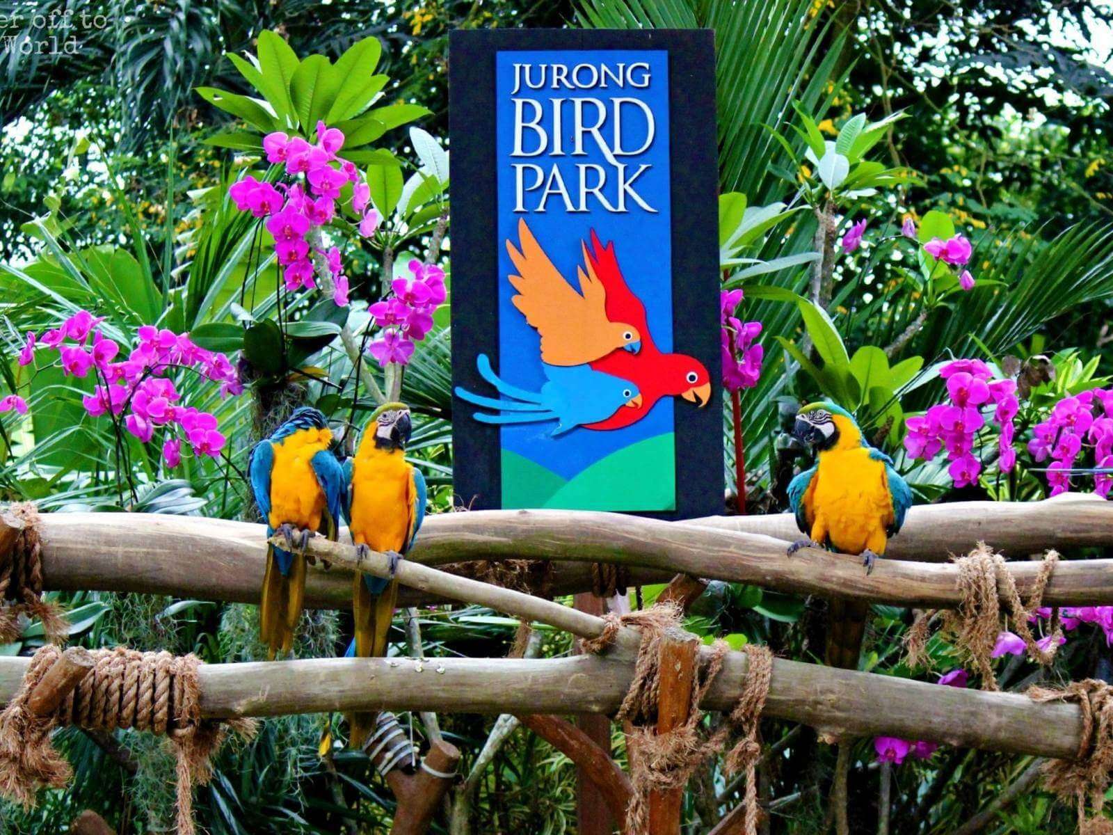Jurong Bird Park 