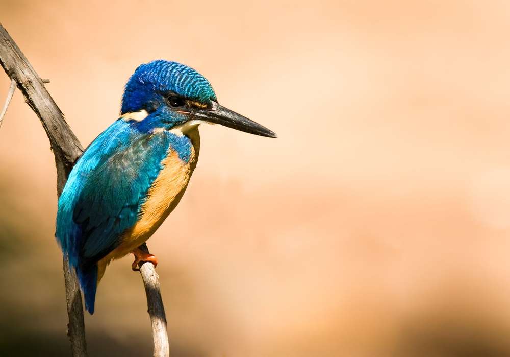 Khao Lampi National Park