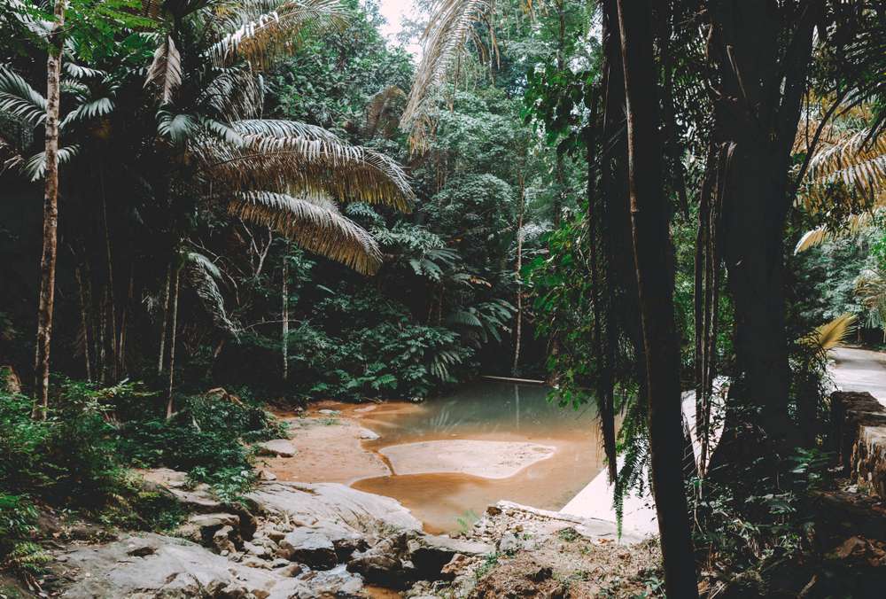 Khao Phra Thaeo National Park