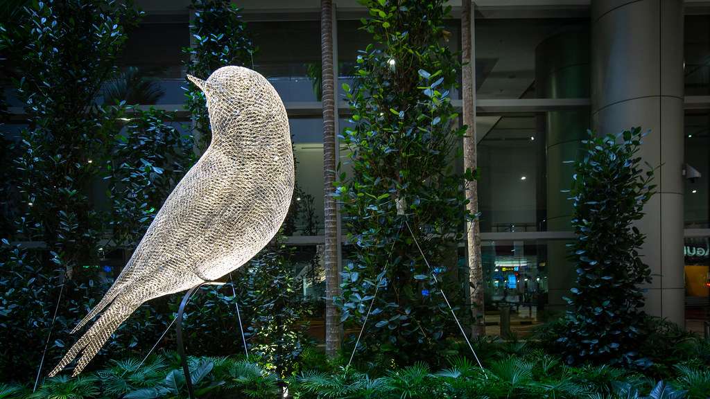 Watch Les Oiseaux (The Birds)