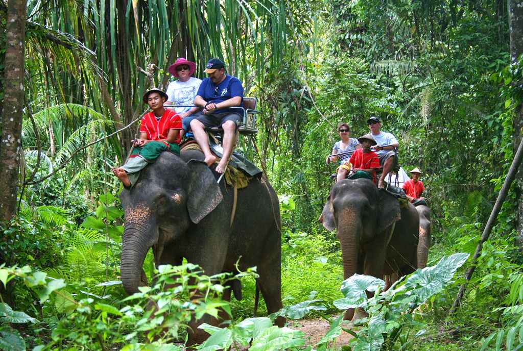 Samui Elephant Sanctuary
