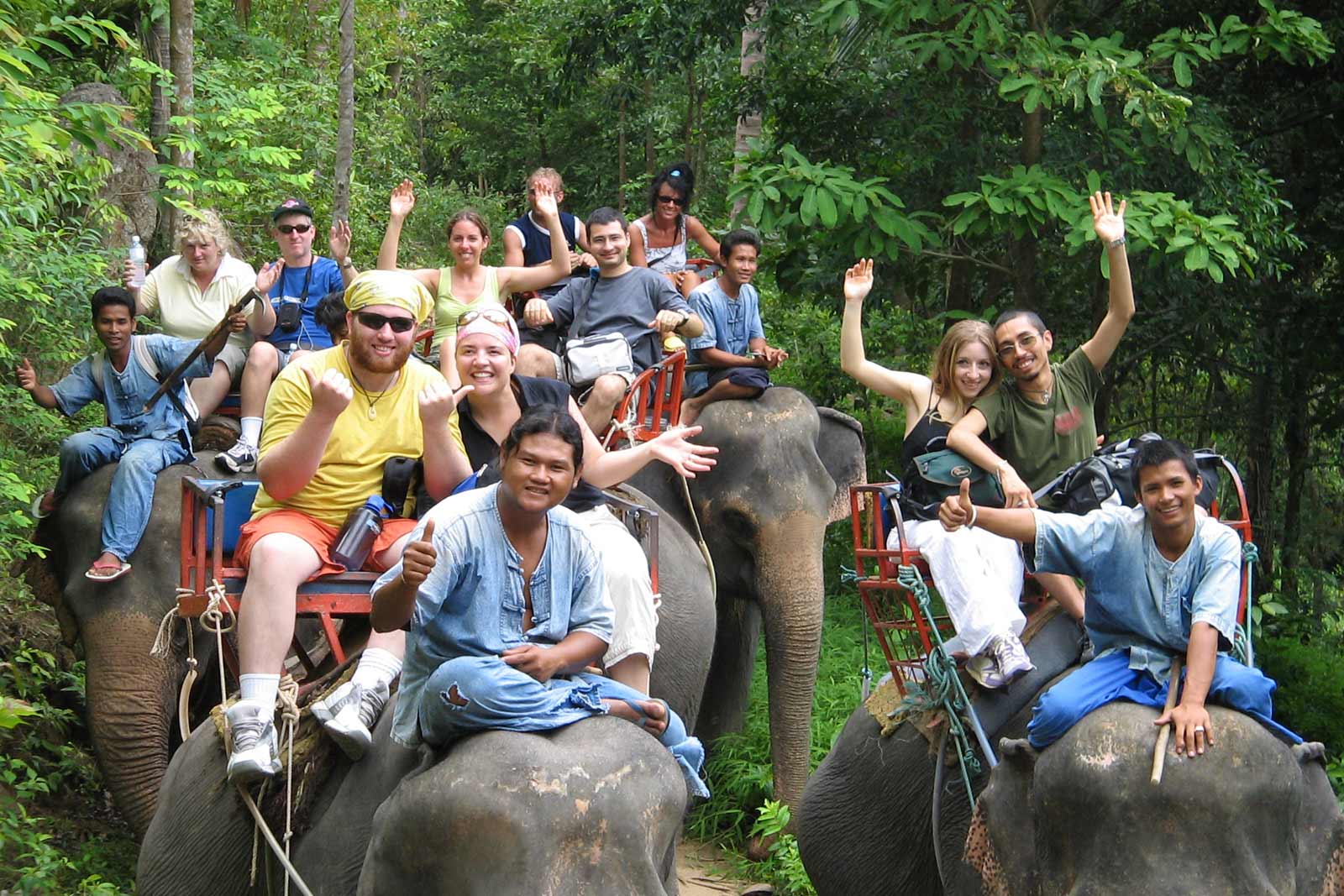 Mr. Ung's Magical Safari Tours