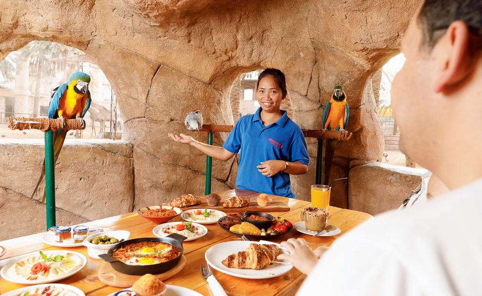 Breakfast With Parrots