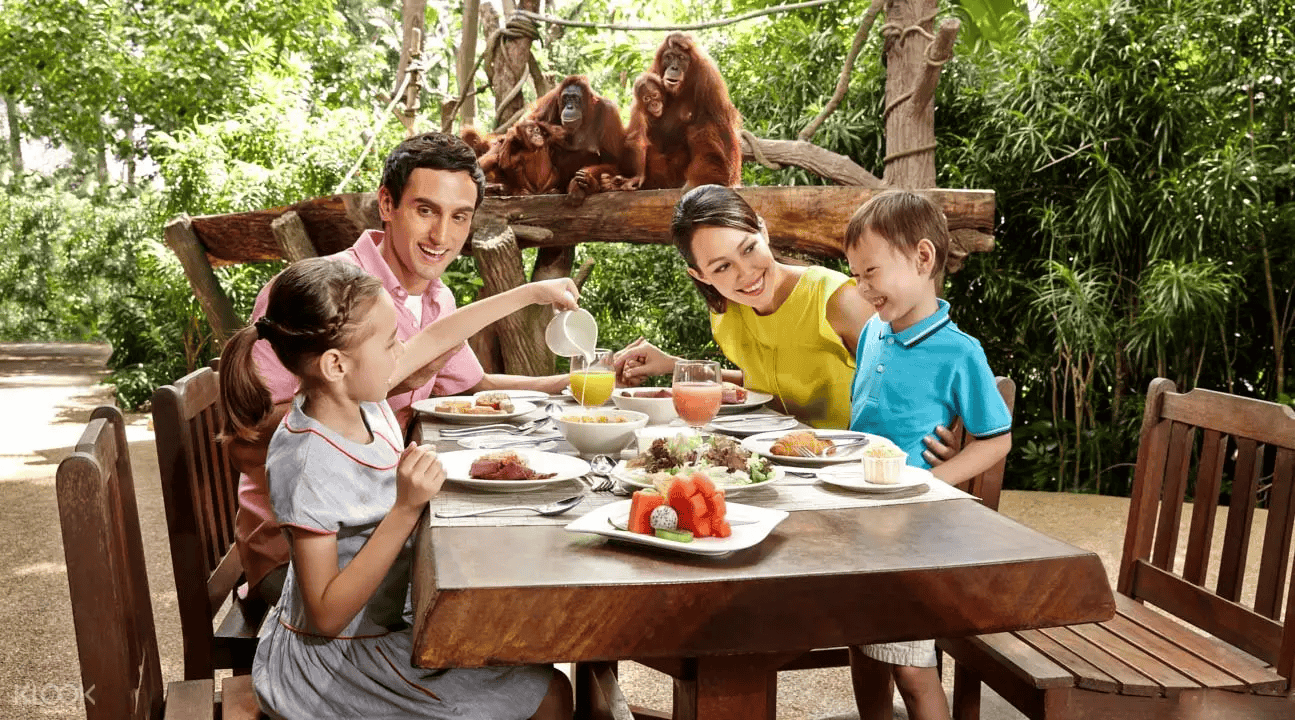 Have Breakfast with Orangutans at Singapore Zoo