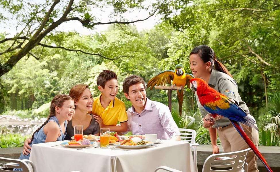 Lunch with Parrots