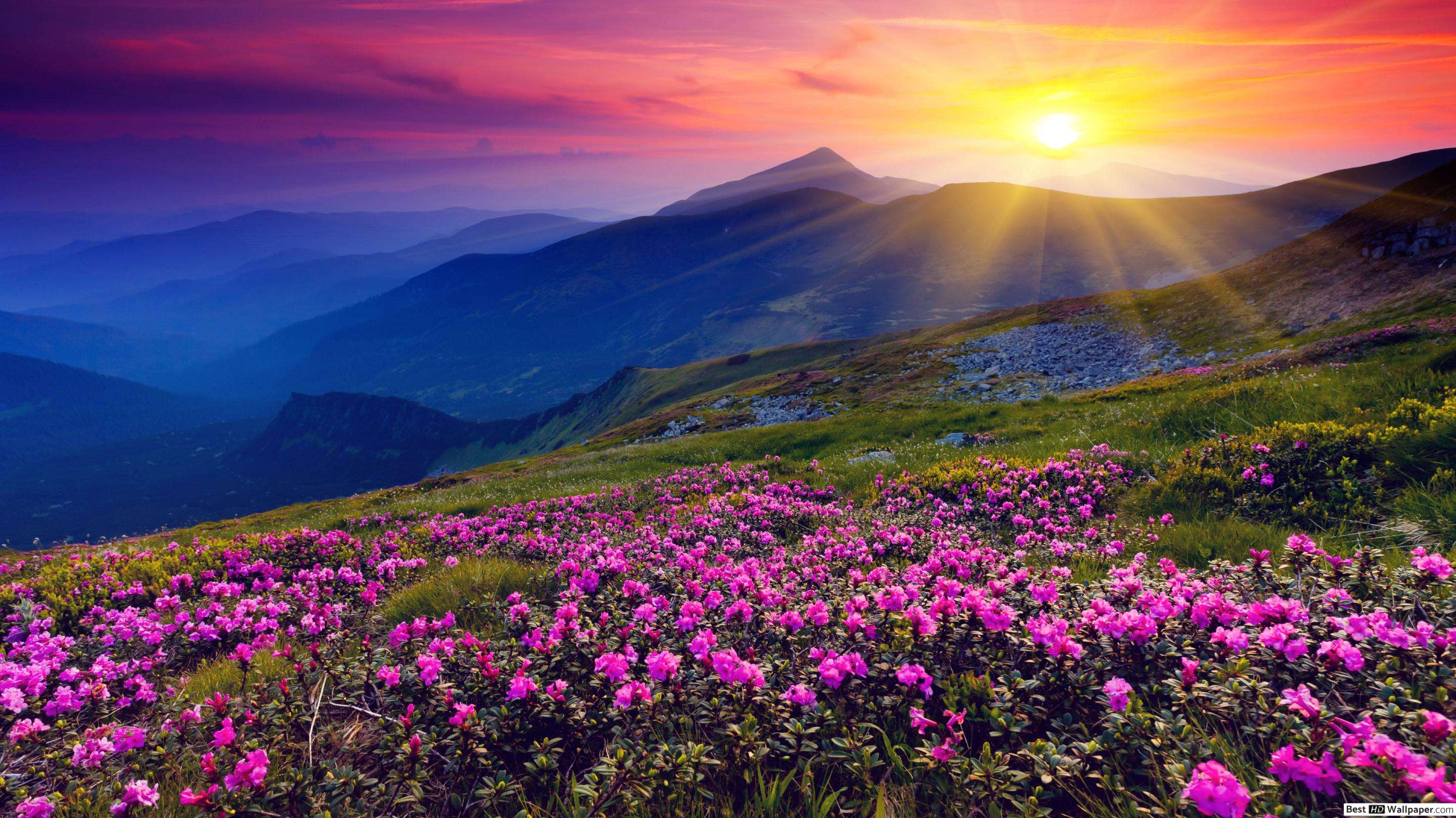 Chamoli (296 km from Delhi)