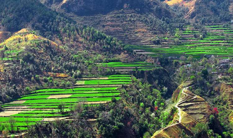 Chakrata (343 Km from Delhi)
