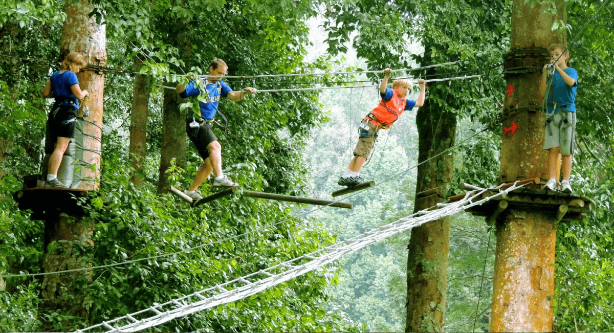 Adventure Activities at the Treetop Adventure Park