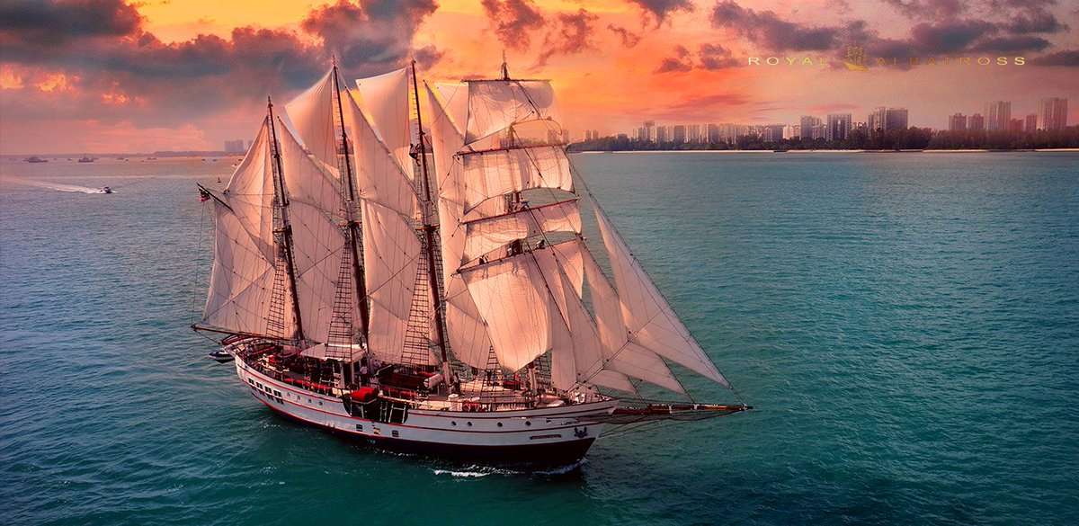 Experience the Grandeur of Royal Albatross Sunset Sail