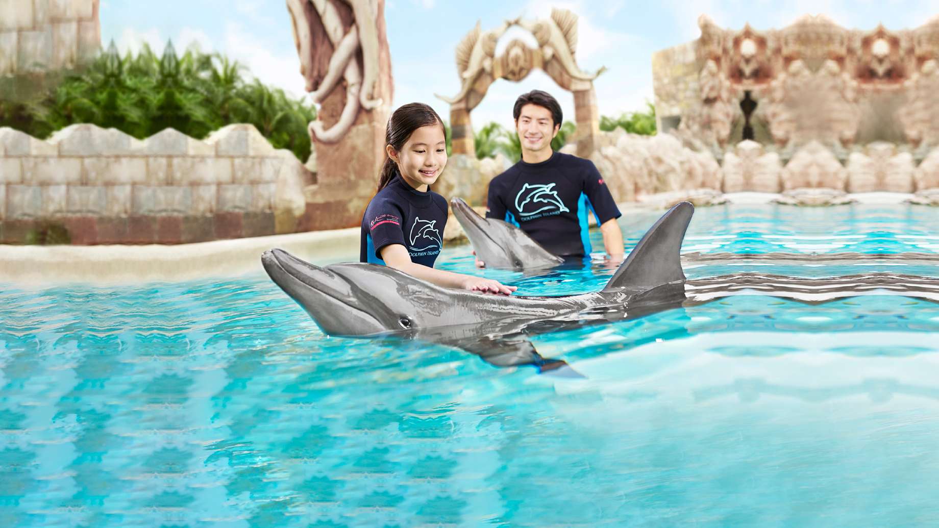  Dolphin Island Singapore