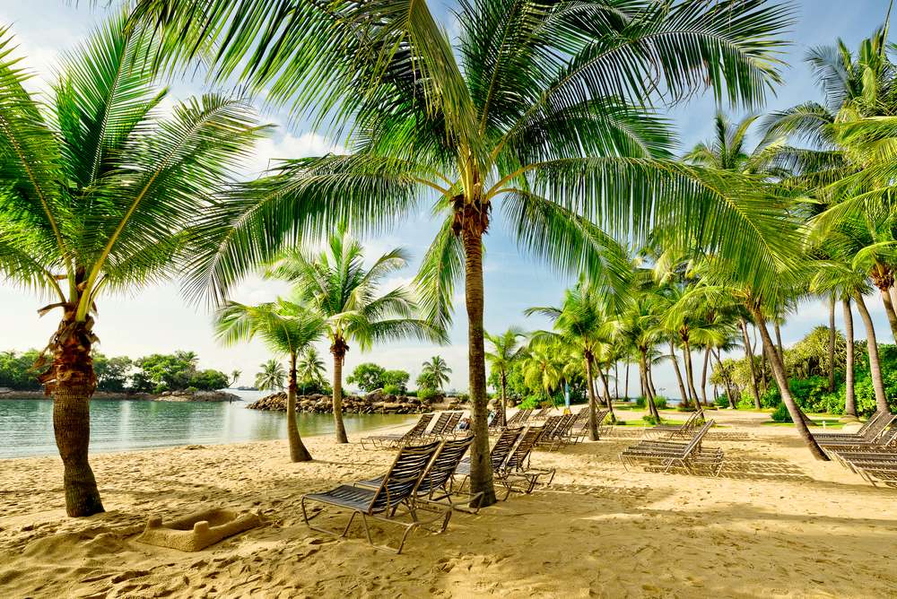 Explore Sentosa Island