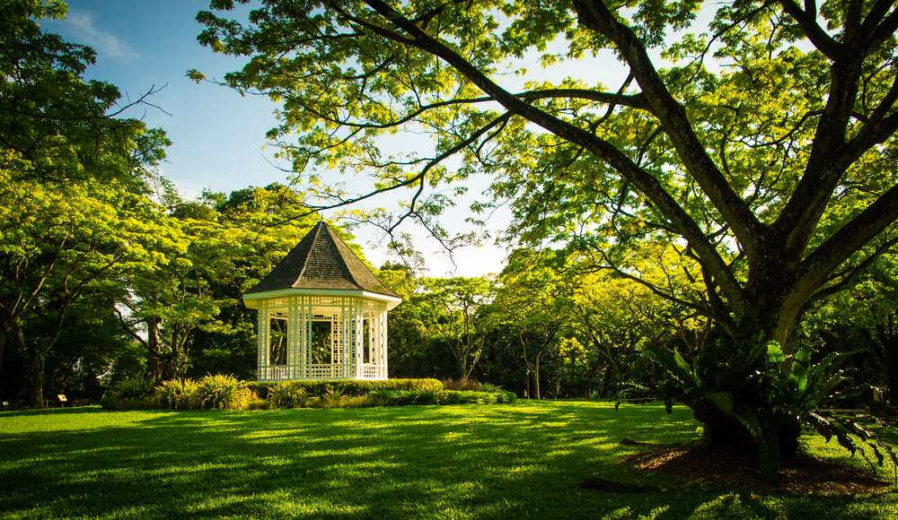 Stroll Around Singapore Botanic Gardens