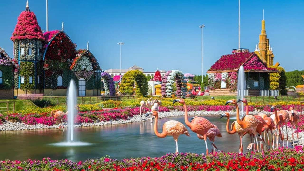 Lose Your Heart at The Scenery of Dubai Miracle Garden