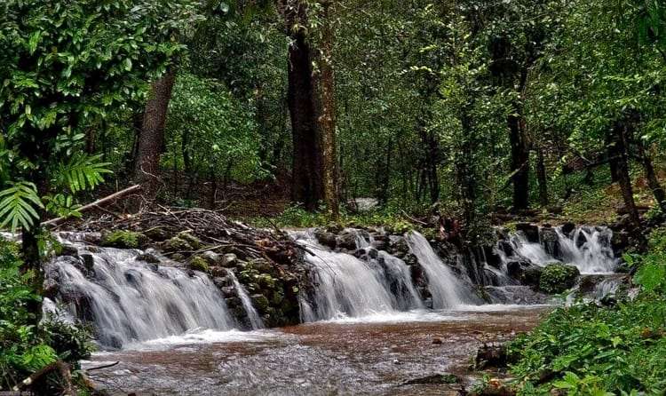 Agumbe (348 Km from Bangalore)