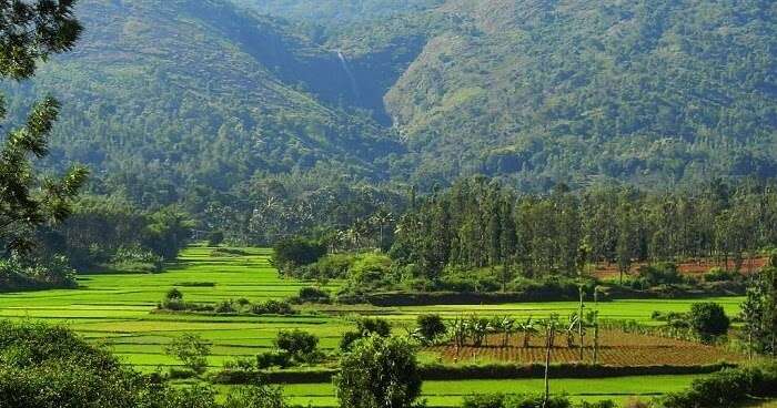 Kolli Hills (348 Km from Bangalore)