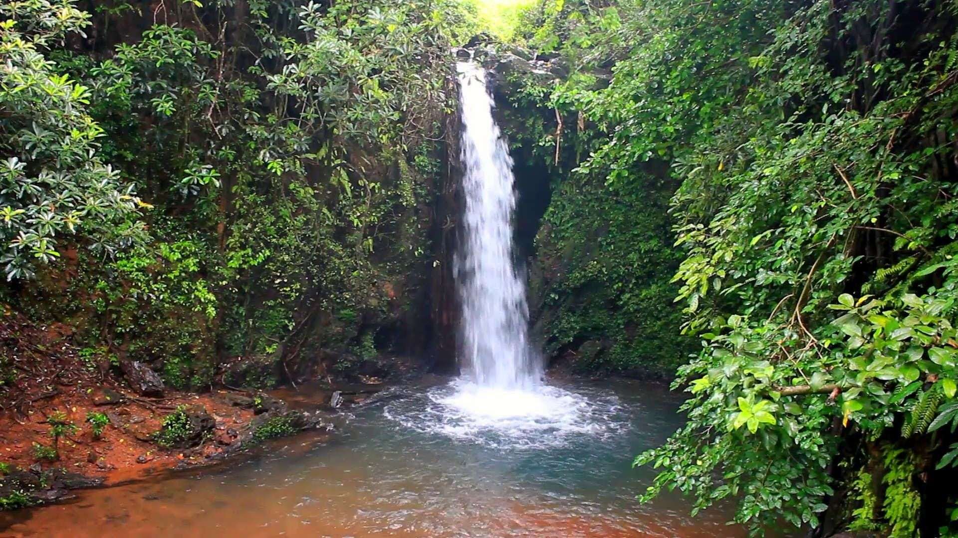 Apsara Konda Falls, Uttara Kannada ( 470 km from Bangalore)