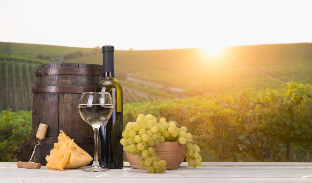 Wine Tour - 47 km from Bangalore