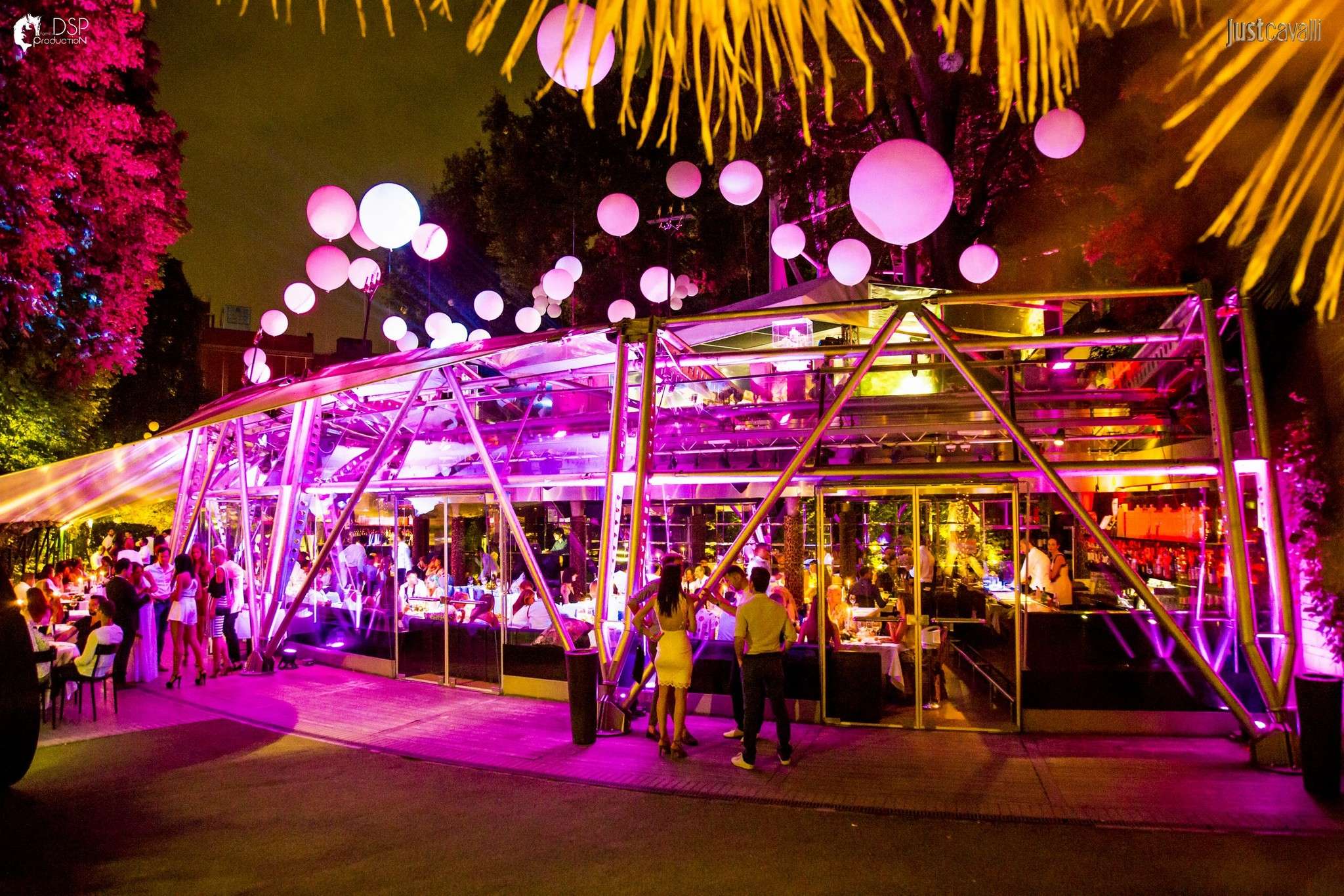 Attend New Year Party at the Cavalli Club