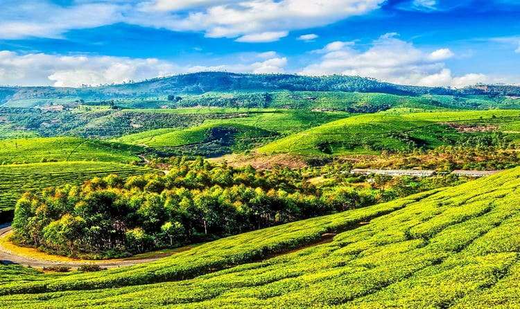 Munnar: Kashmir of South India