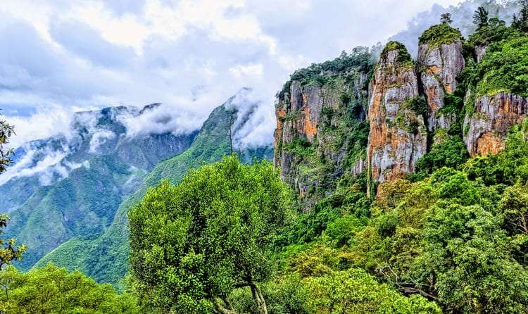 Kodaikanal: Monsoon Thrills and Spills at the Princess of Hill Stations